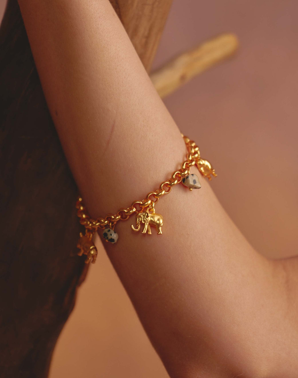 Pulsera de Charms Nilo