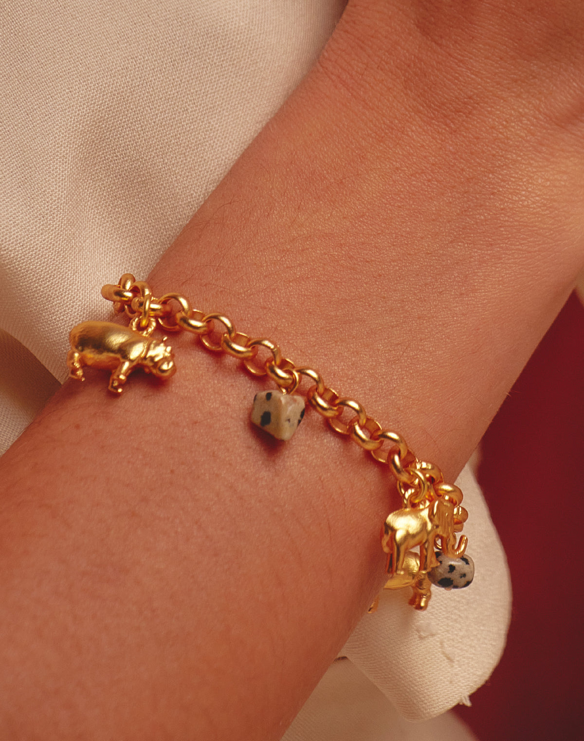 Pulsera de Charms Nilo