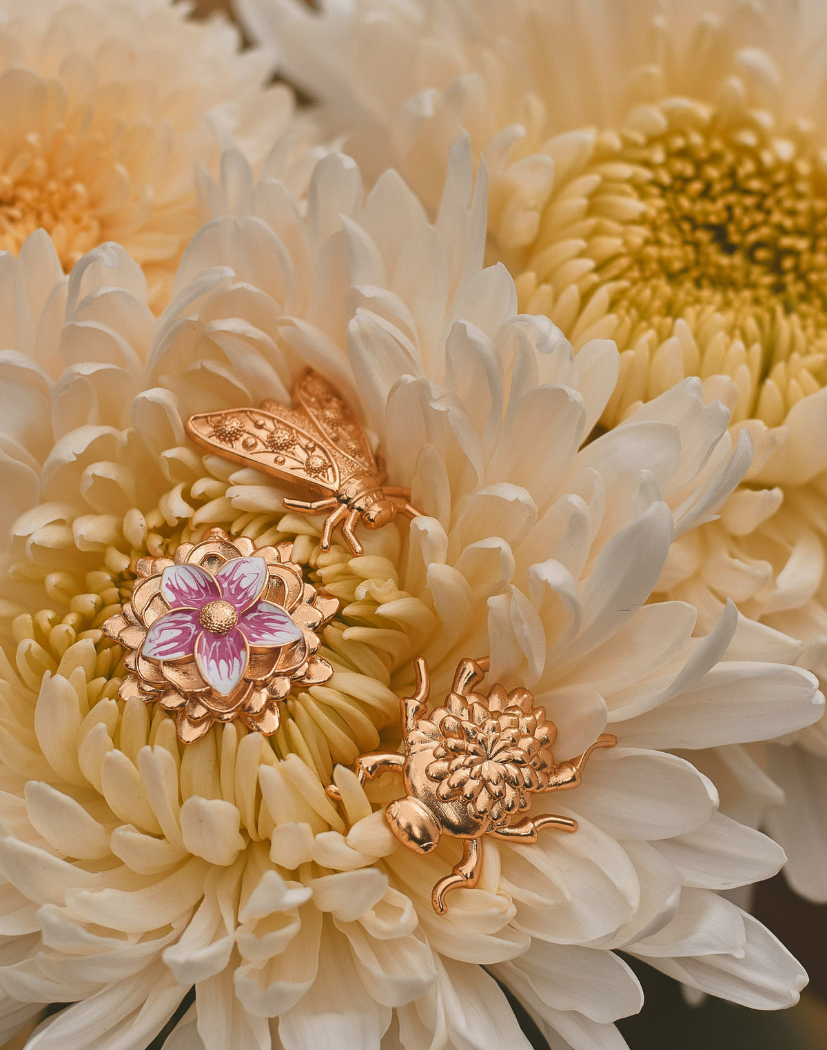 Set de 3 Pines Metamorfosis