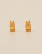 Set de 5 Aretes Boreales