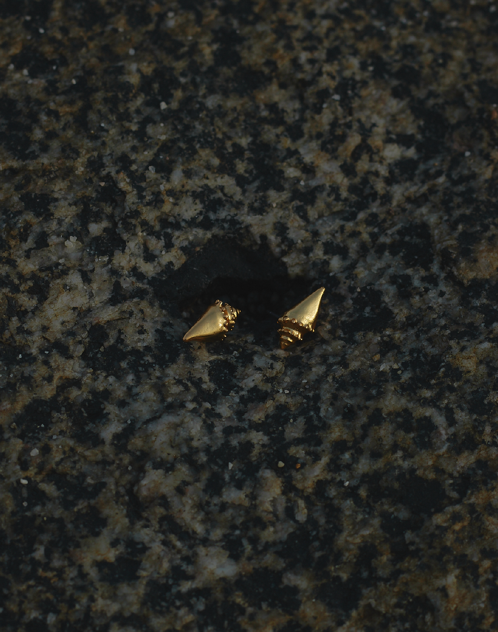 Set de Collar + Aretes Caracola