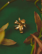 Anillo Orquídea