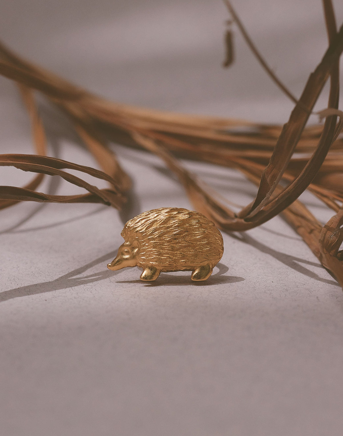 Anillo Puercoespín