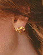 Aretes Caballo