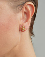 Aretes Cangrejo