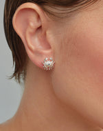 Aretes Cangrejo