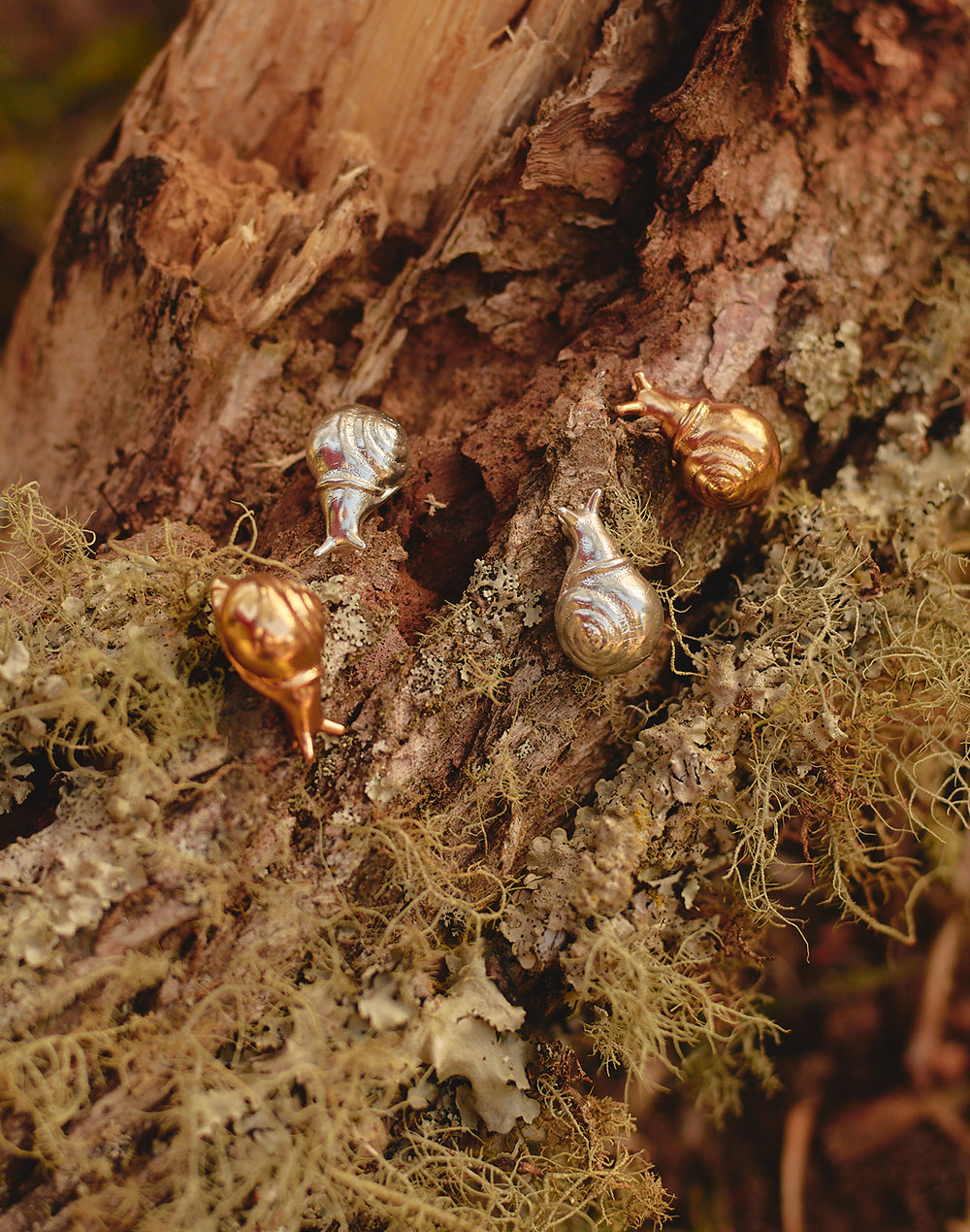 Aretes Caracol