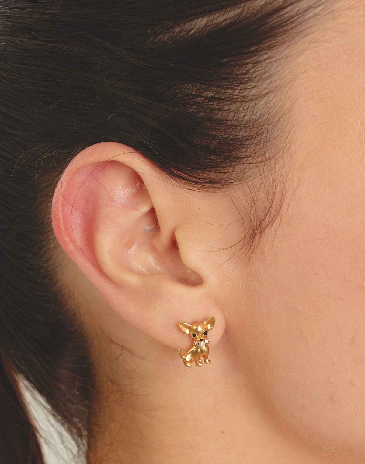 Aretes Chihuahua