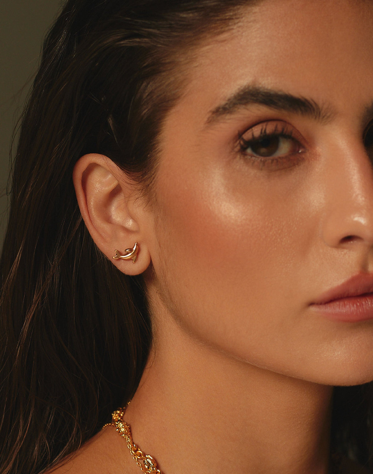 Aretes Delfín