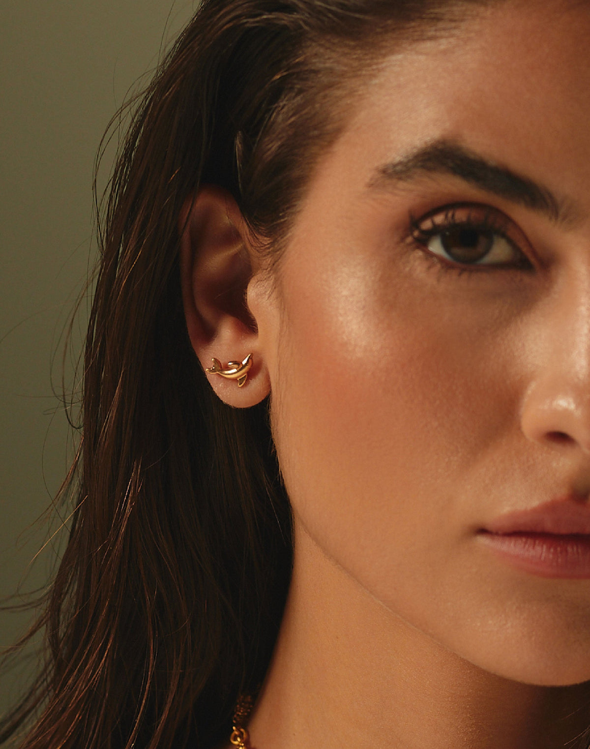 Aretes Delfín