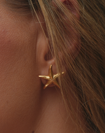 Aretes Estrella de Mar