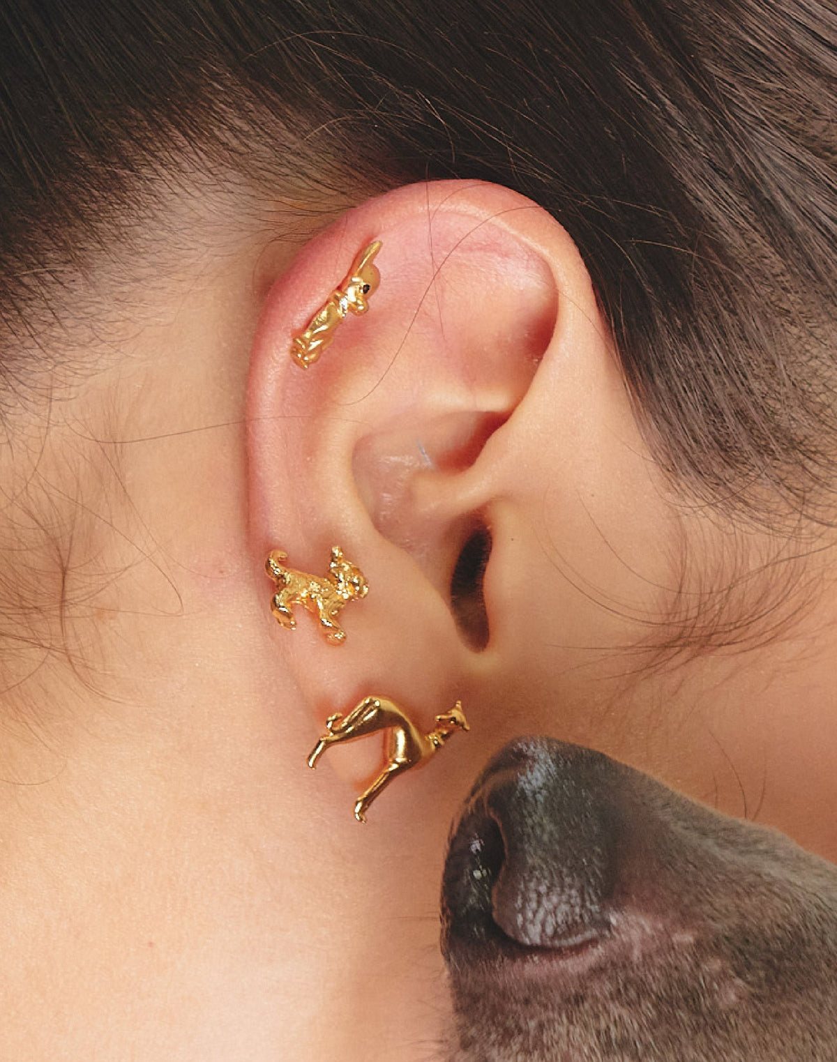 Aretes Galgo