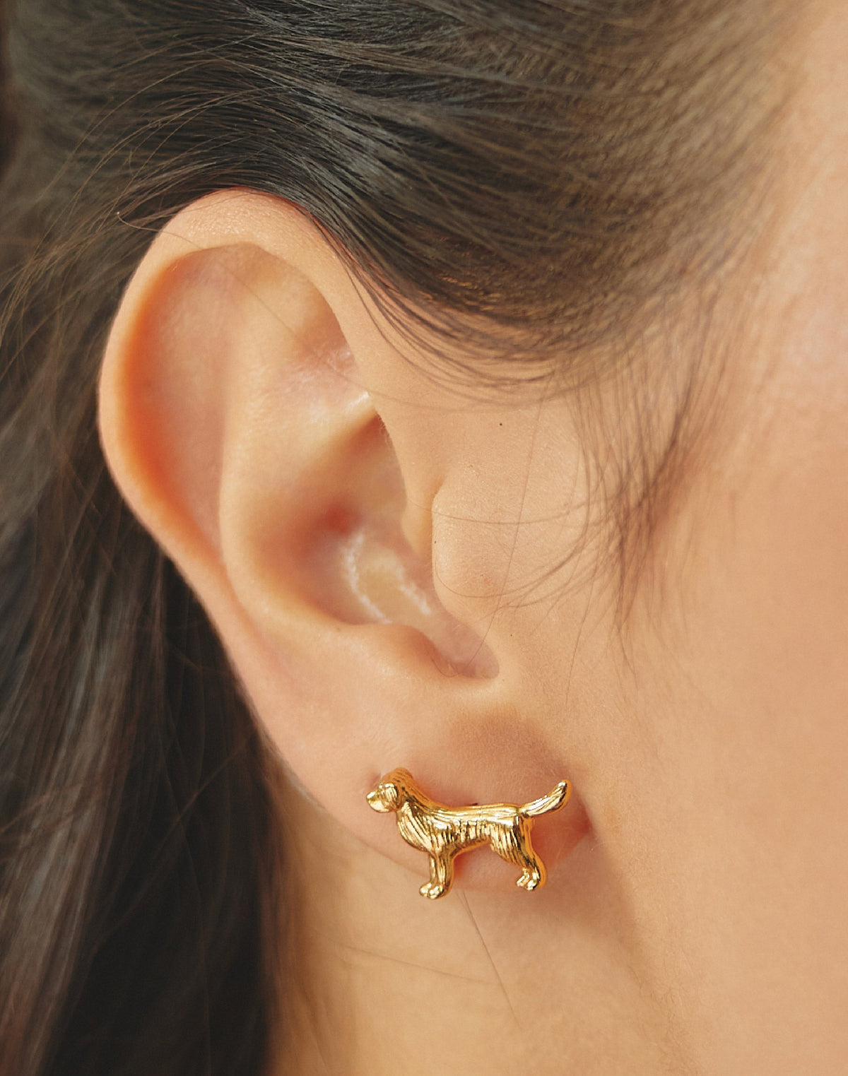 Aretes Golden Retriever