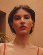 Aretes Tigre de Bengala