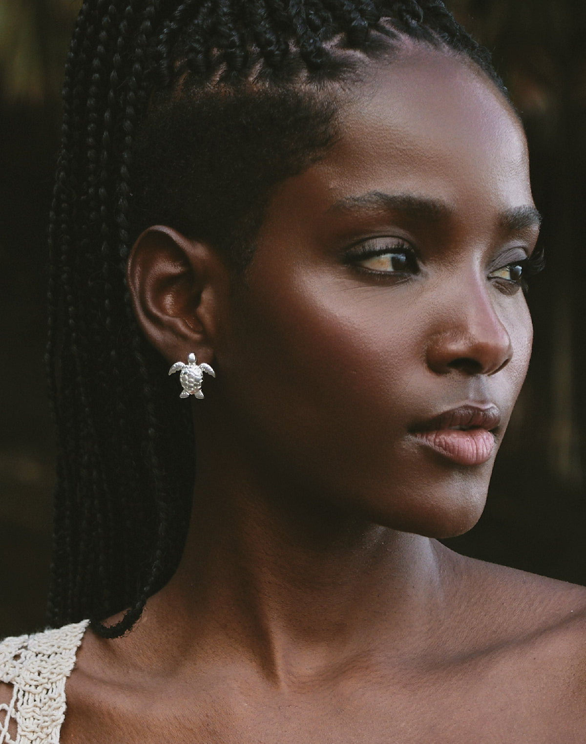 Aretes Tortuga Carey