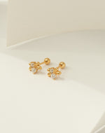 Aretes en Plata Zircones Clear