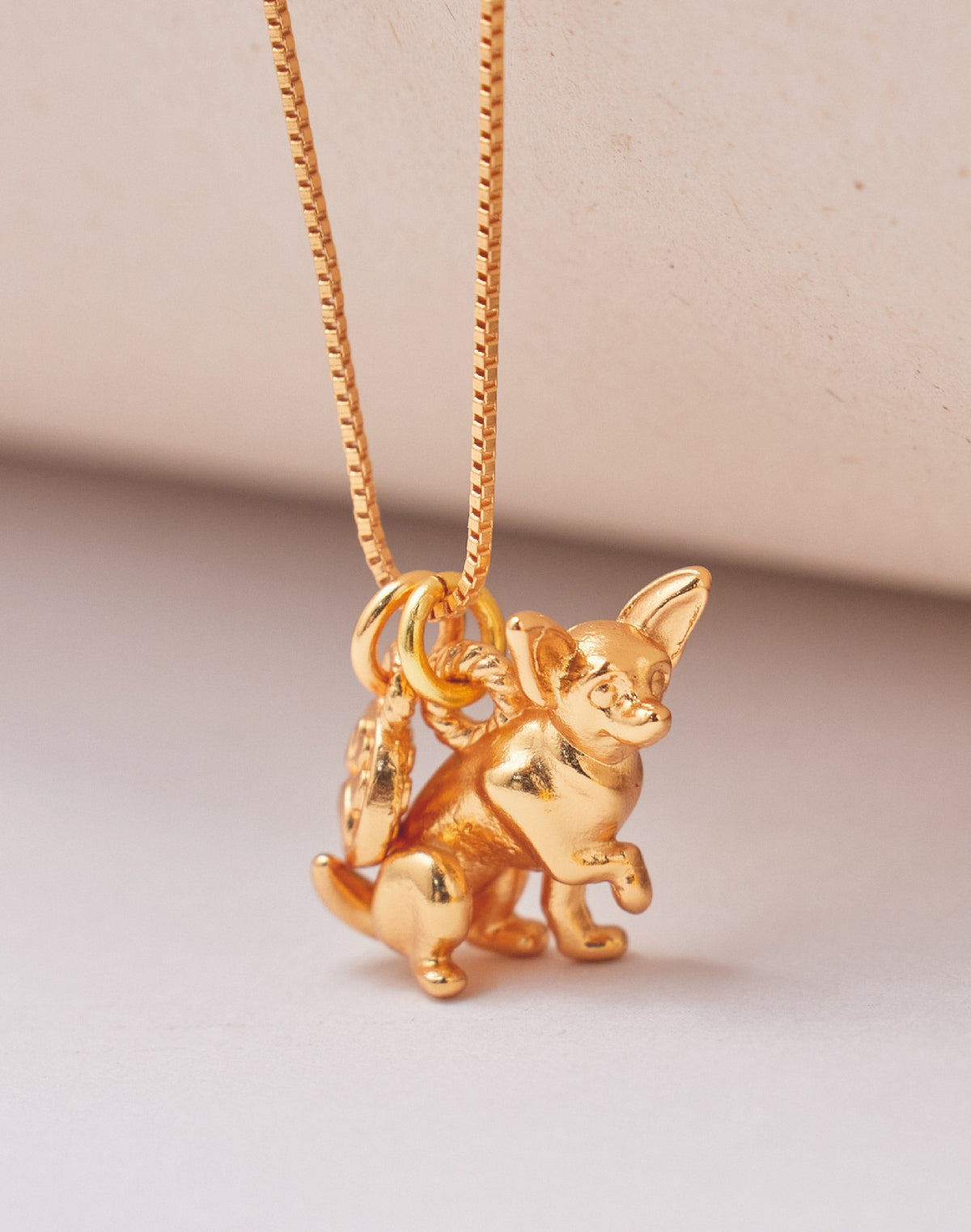 Collar Chihuahua