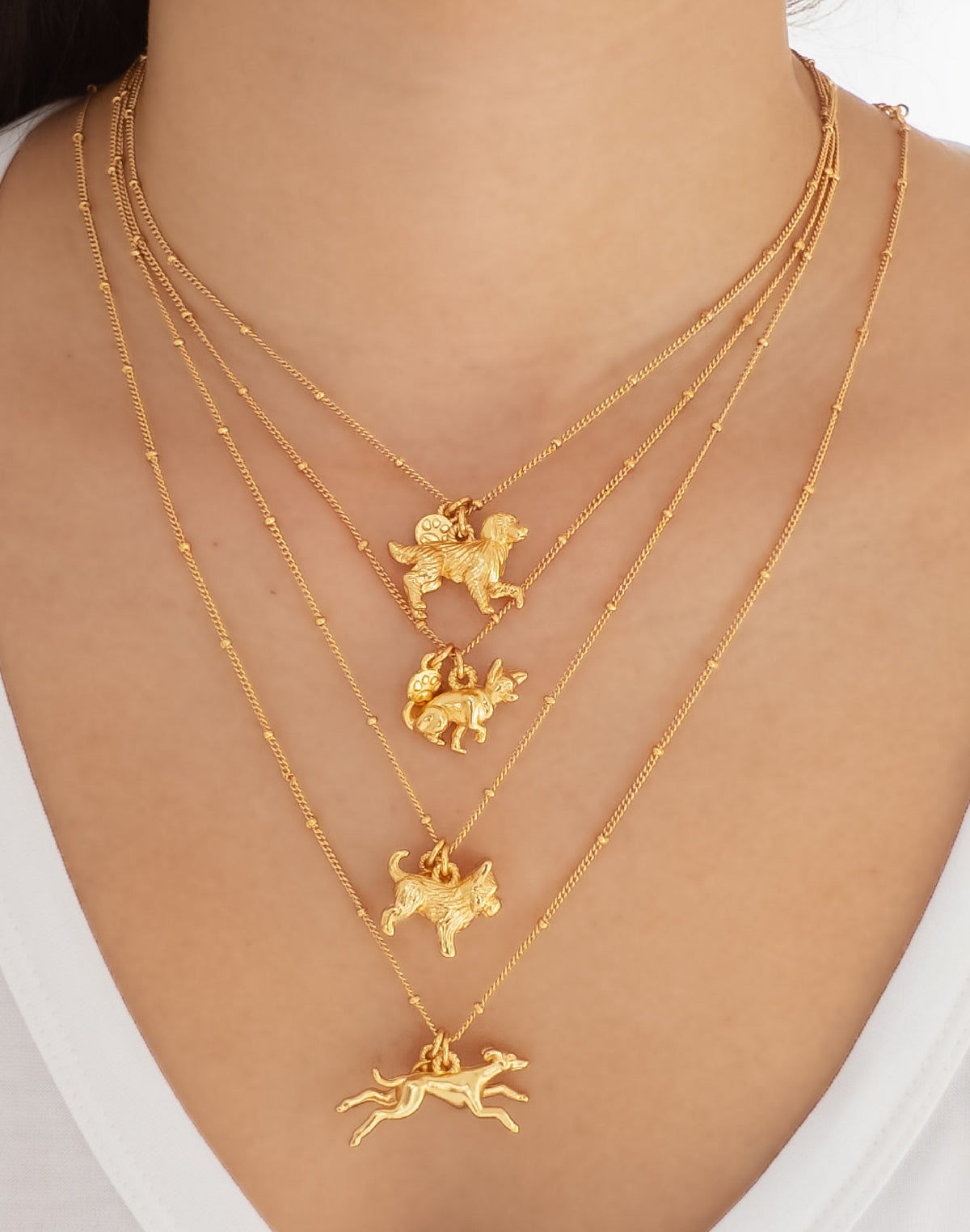 Collar Galgo