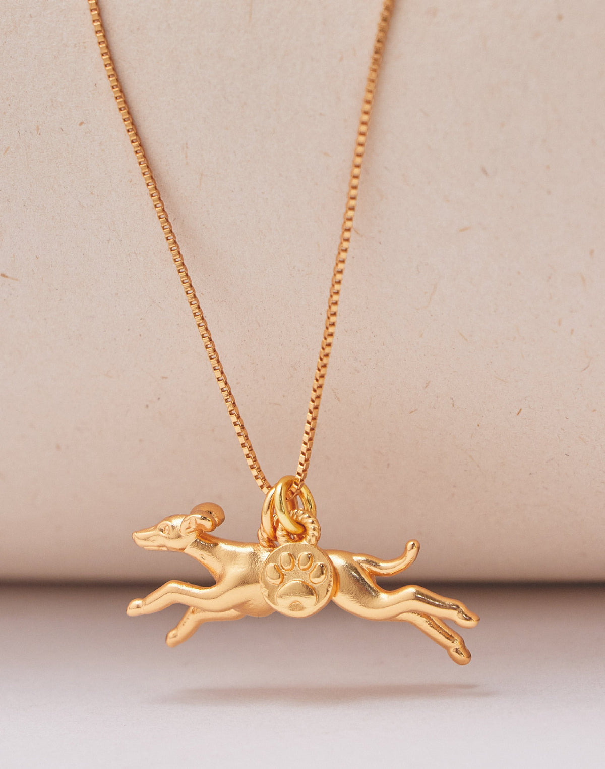 Collar Galgo