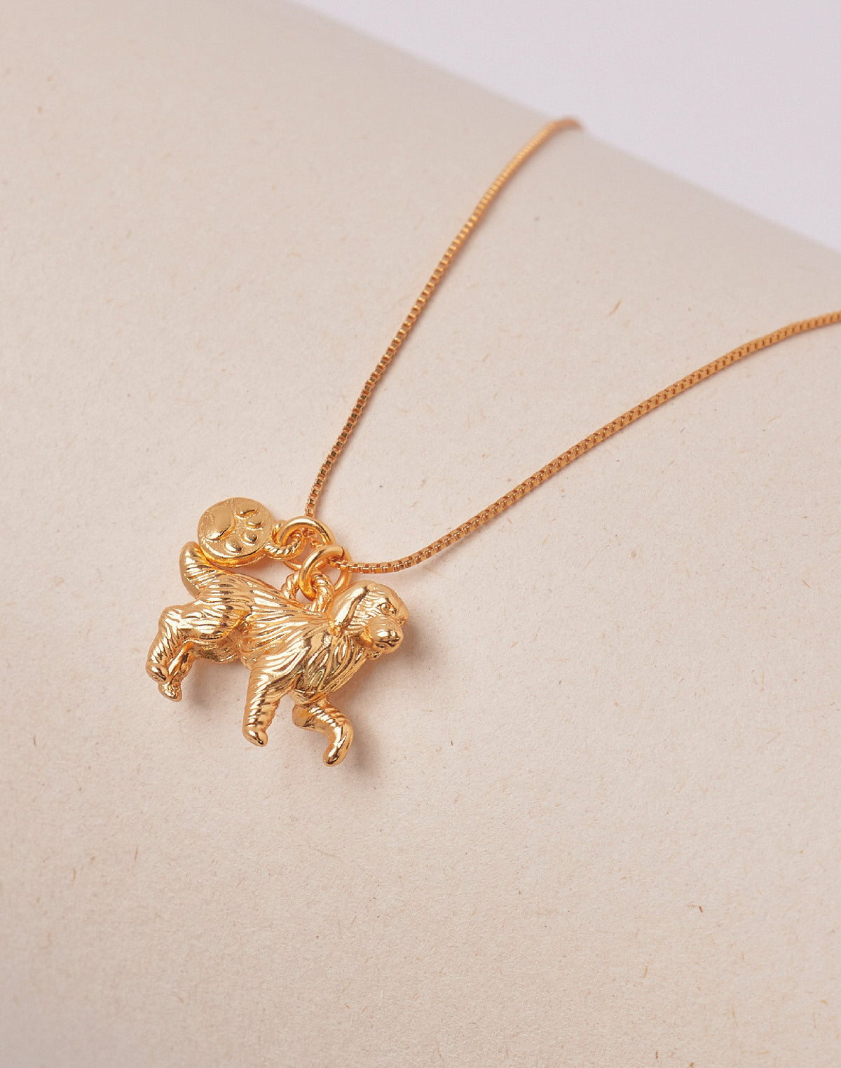 Collar Golden Retriever