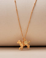 Collar Golden Retriever