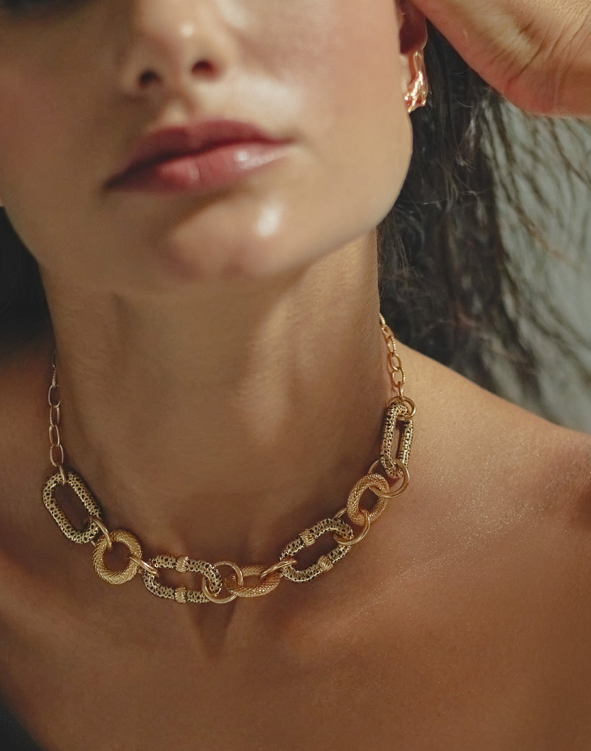 Collar + Topos Jaguar Skin