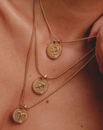 Collares Zodiac