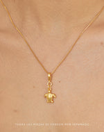 Mini Charm Tortuga