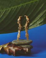 Pendientes Aves Silvestres