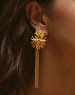 Pendientes Frailejón