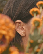 Set de 3 Aretes Jardín Secreto