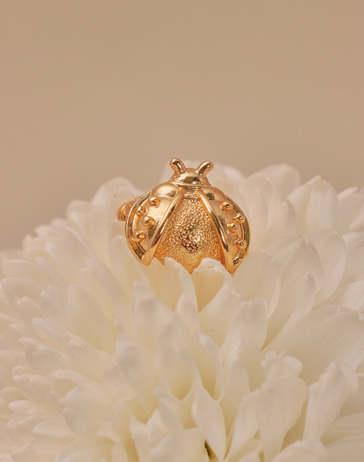 Set de 3 Earcuffs Naturaleza