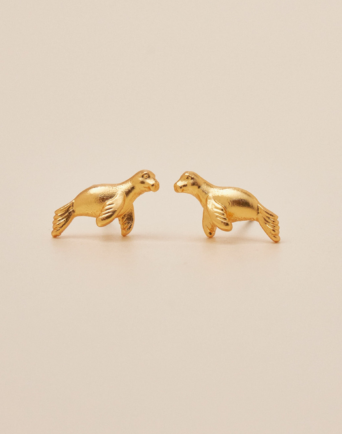 Set de 5 Aretes Boreales