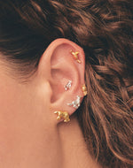 Set de 5 Aretes Boreales