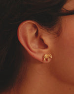 Set de 5 Aretes Templo Interior