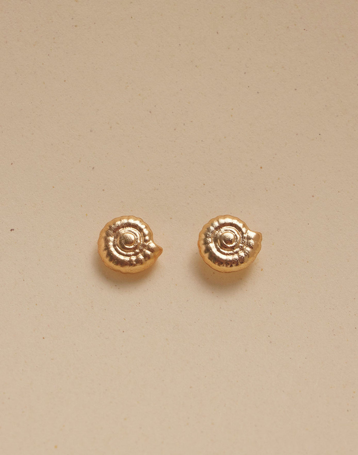 Set de Choker + Aretes Moluscos